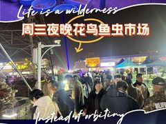 -中环花鸟鱼虫市场