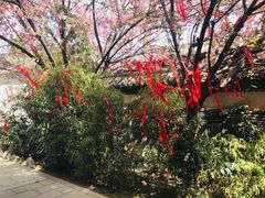 -西安青龙寺遗址景区