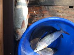 -烟水渔庄餐厅(西溪湿地店)