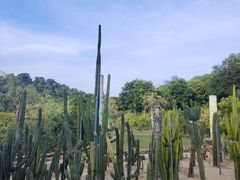-东莞植物园