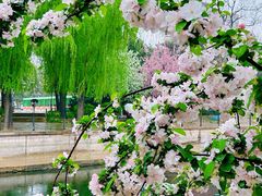 -海棠花溪(元大都城垣遗址公园)