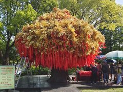 -狼山风景名胜区