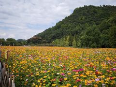 -贵阳市花溪国家城市湿地公园