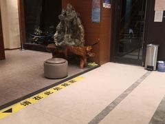-尚源温泉水汇