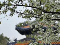 -天坛公园