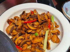 小炒口蘑-成都娃娃花园餐厅 (南艺旗舰店)