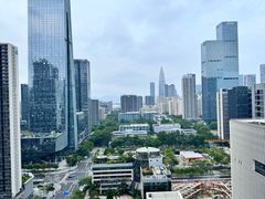 -深圳湾科技园丽雅查尔顿酒店