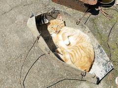 -宁波浙东大竹海景区