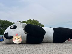 -苏州太湖国家湿地公园