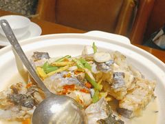 -饭怕鱼·黄焖鲟龙鱼(湖大店)