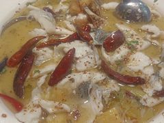 -宋小谨(惠安禹洲店)