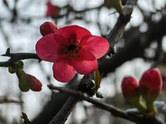 -绵阳人民公园(涪城区)