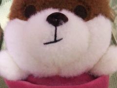 -大玩家(济宁太白路万达店)