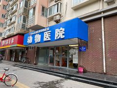 -全心全意连锁动物医院·微创中心·内科急重症·心脏专科(丰管路店)