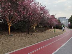 -澹台湖公园