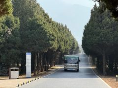 -秦始皇帝陵博物院-丽山园