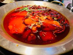 牛肉锅底-王婆乔鲜鱼自助火锅(蜀汉路店)