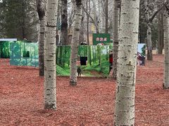 -朝阳公园真人CS