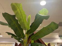 -荷花泰菜(东方新天地店)
