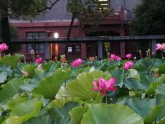 -四川大学(望江校区)
