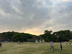 -昆山城市生态森林公园