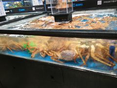 -盒马鲜生(曜一城店)