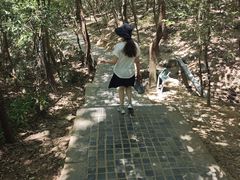 -紫金山山顶公园