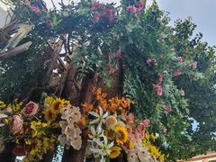 -巴伐利亚啤酒坊(意式风情街店)