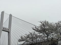-南浦大桥长途旅游客运站