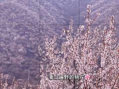 -姥家大锅台(凤凰岭店)