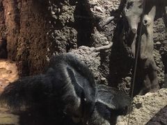 -长鹿旅游休博园