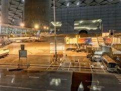 -郑州新郑国际机场-T2航站楼