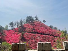 -木兰云雾山