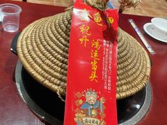 -火焰金龟甲(汉阳江滩旗舰店)