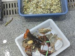 -阿浪海鲜连锁•海鲜加工•老字号(第一市场店)