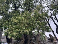 -张学良旧居陈列馆