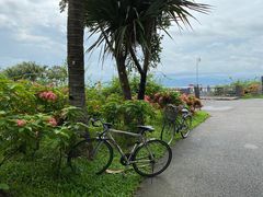 -深圳湾公园(南山区)