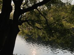 -东山湖公园