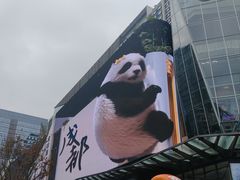 -合景·悠方(成都店)