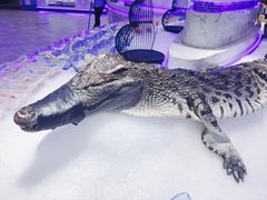 -澜悦港海鲜体验主题餐厅