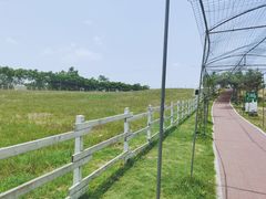 -孙毛肚火锅(春熙路店)