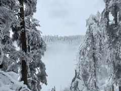 -瓦屋山景区