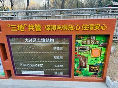 -黄村公园