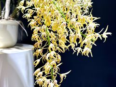 -北京植物园-展览温室