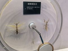 -陕西自然博物馆