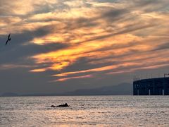 -银沙滩浴场