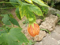 -南通洲际绿博园