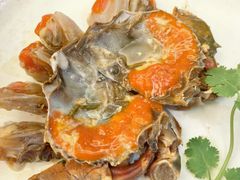 -吴记富苑(朝阳店)