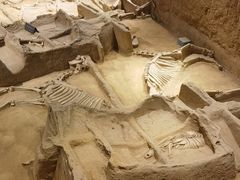 -洛阳周王城天子驾六博物馆