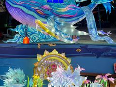 -海合安武汉极地海洋公园